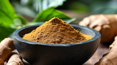 How to Use Black Ginger Extract for Maximum Health Benefits?