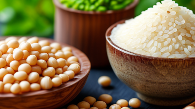 China Top Rice Protein Powder Suppliers for Global Buyers?