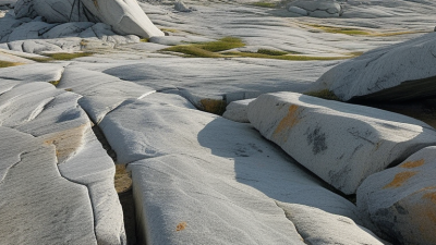 Weather Resistance of Various Stone Types for Buyers?