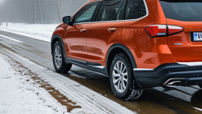 ¿Cómo elegir las mejores alfombrillas para coches en invierno?