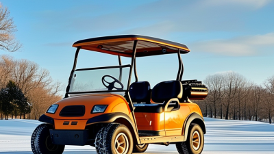 How to Keep Your Golf Cart Batteries Healthy in Winter?
