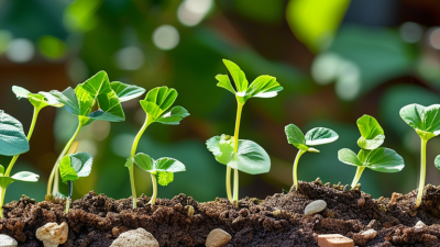 How to test soil pH without a kit easily at home?