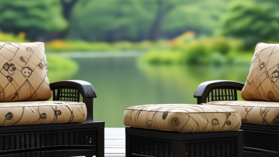 10 Best Ways to Clean Mold Off Outdoor Chair Cushions?