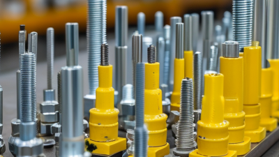 Top Quality Screw Clips for Global Buyers in China?