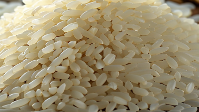 ¿Por qué es importante el proceso de molienda de arroz?