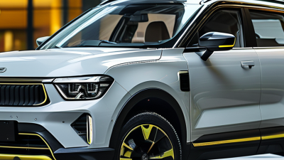 China Top Mini SUV Electric Car Options for Global Buyers?