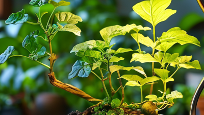 2026 Best Tips for Fixing Yellow Leaves Under Grow Lights?