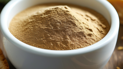 What is Yeast Extract Powder and How Can It Benefit Your Business?