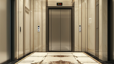 China Top 10 Safest Home Lifts for Elderly Use