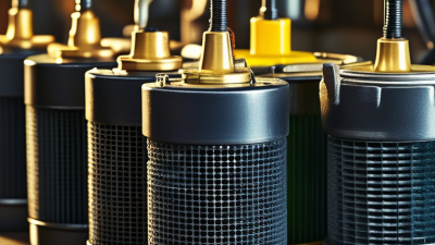 How to Identify Customizable Features in High Performance Oil Filters?