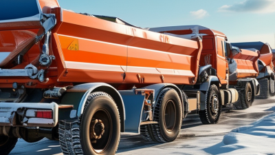 Top 10 Tips for Maintaining Roller Conveyors in Winter?