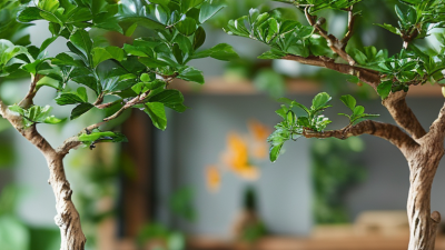 Why Choose Preserved Trees Over Artificial Ones for Your Needs?