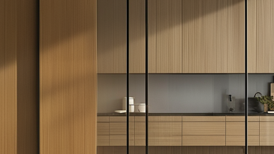 Discover the Best Minimalist Sliding Doors for Your Home Design?