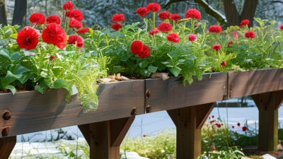 10 Tips for Maintaining Cedar Raised Beds for Longevity?
