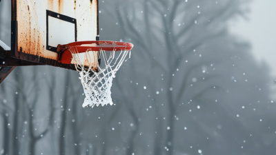5 Tips to Stop Your Basketball Rim From Rusting This Winter?