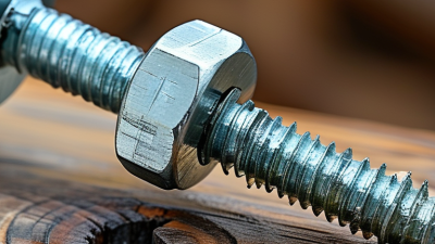 How to Choose Eye Lag Screws in 2026?
