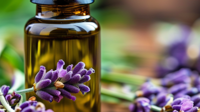 Why Choose a Reliable Lavender Oil Supplier?