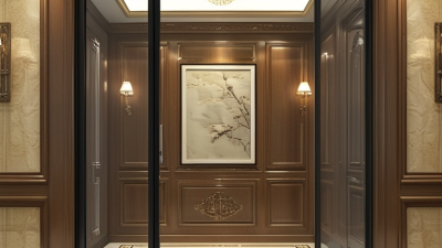China Best Home Elevator How to Hide It in Interior Design?