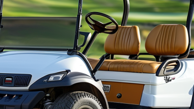 China Top 10 Golf Cart Lifespan What Is It?