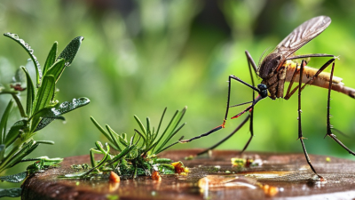 7 Tips for Creating a Natural Mosquito Repellent Garden