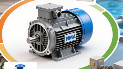 How to Choose the Right NEMA Motor in 2026?