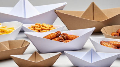 How to Choose the Right Paper Boat Tray for Your Business?