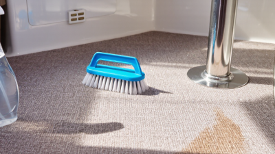 What Is the Best Boat Carpet Cleaner?