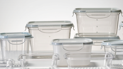 10 Best Clamshell Plastic Containers for Wholesale Buyers?