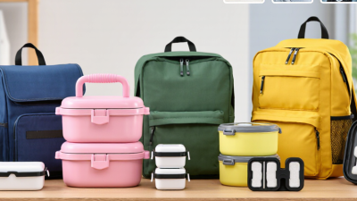 7 Best Lunch Box With Backpack Suppliers Worldwide?