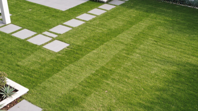 Why Choose Landscaping Artificial Grass for Your Project?