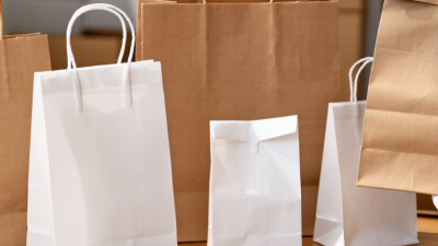 China Top Paper Treat Bags Manufacturers for Global Buyers?