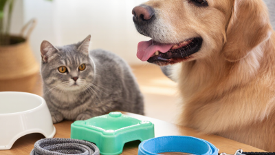 Why Choose Safe Pet Supplies for Global Buyers?