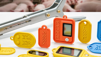 Top Types of TPU Ear Tags for Pigs