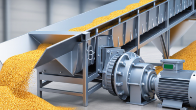China Best Auger Conveyor for Sale What Is the Price?