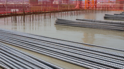 What Is the Best Steel Inside Concrete in China?