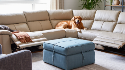 7 Best Materials for Pet Friendly Living Room Furniture