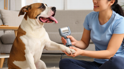 Top 10 dicas para dessensibilizar cães à lixadeira de unhas?
