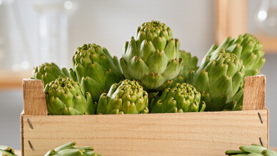 China Best Organic Artichoke Extract Supplier?