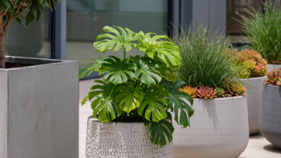 How to Choose the Best Concrete Planters?