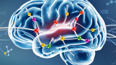 What Is Brain Peptide and How Does It Work?