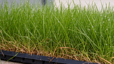 What Is a Grass Floor Mat and How Does It Work?