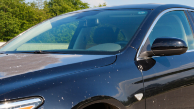 7 Best Answers What Causes Ceramic Coating to Wear Out?