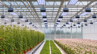 2026 Top Grow Lights for Outdoor Greenhouse Supplementation?