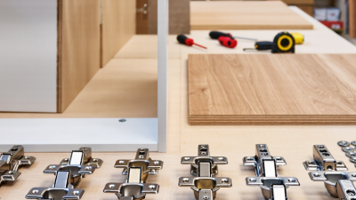 Why Do Some Furniture Hinges Stop Working China Best Options?