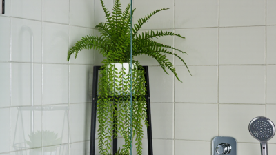 How to Put Artificial Plants in a Real Shower?