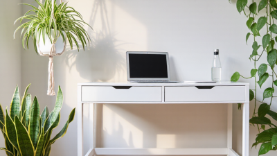 2026 Best Indoor Plants for Better Air Quality?