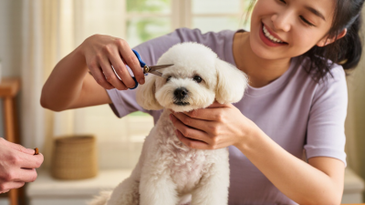 Como aparar pelos ao redor dos olhos do cão em casa 7 dicas?