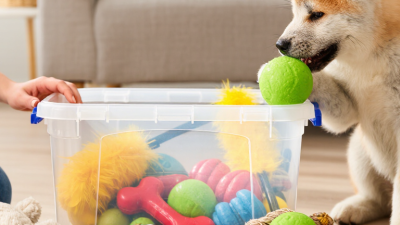 How to Tell If a Pet Toy Is a Choking Hazard?
