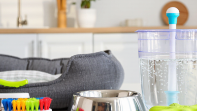 10 Tips for Cleaning Pet Supplies Properly