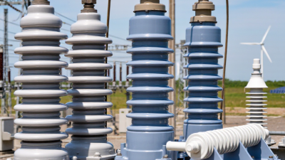 2026 Top Zinc Oxide Arrester Types for Global Buyers
